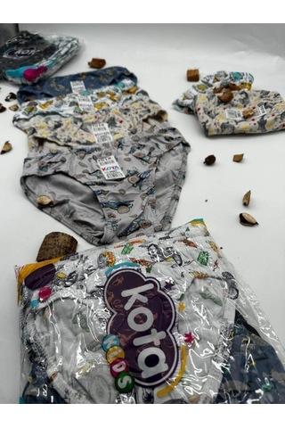 Kota 1018 Erkek Çocuk Renkli Desenli Slip Külot 12 Adet 001