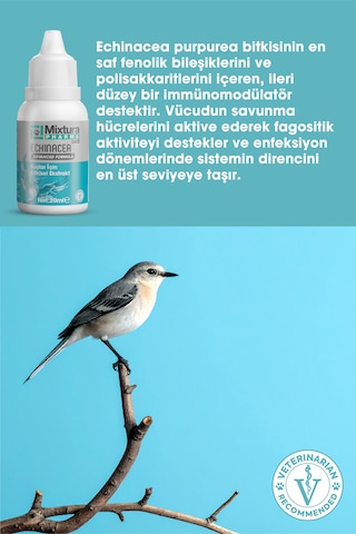Mixtura Pharma Bird Echınacea