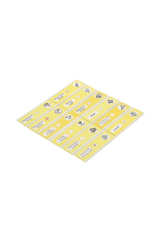 Ece Mikroskop Slayt Preparat Seti Başlangıç 12'li Çiçekler