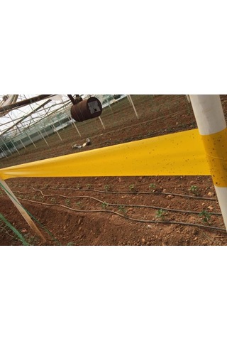 30 X 100 Cm Yapışkan Sarı Rulo Tuzak
