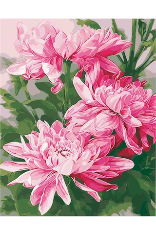 Xiyyadms 30x40cm Dıy Rakamlı Boyama Tablosu - Papatya Desenli Dekoratif Yağlı Boya - Çerçevesiz Gx3328