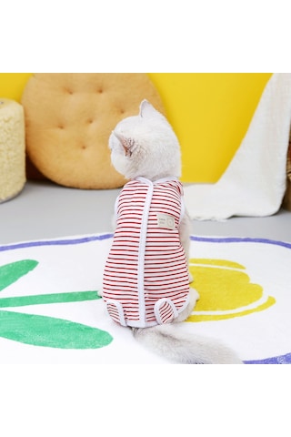 Hangfox Kedi Ameliyat Sonrası Kıyafeti - Yenidoğan Bakımı Ve Yara Yalama Engelleme Fonksiyonu, Vet Onaylı 23 Adet Çizgili Desenli Kedi Hijyen Giysisi Kırmızı