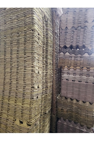 10 Adet 30'lu Karton Yumurta Viyolü 10 Adet Toptan Viyol