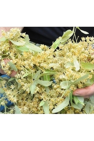 Ihlamur Yaprak Çiçek 50 Gr Ihlamur, Derya Eren