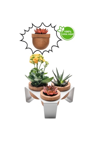 Halohope Metal Stantlı 3'lü Skulent Saksısı Beyaz Saksılık