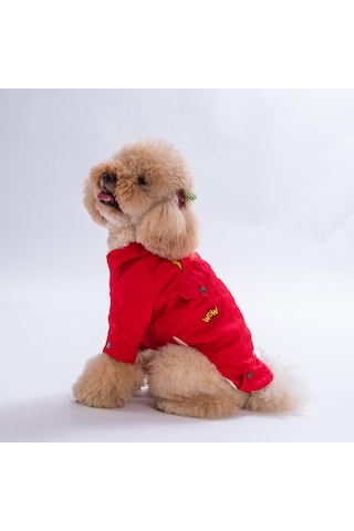 Kırmızı Cancun - Cancún Ceket Gabardin Çıtçıtlı Kedi Köpek Ceketi Kedi Köpek Kıyafeti Kedi Köpek Elbisesi