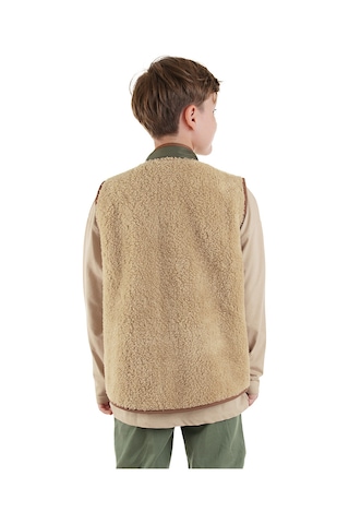 Denokids Erkek Çocuk Kahverengi Peluş Yelek Renkli