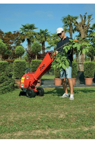 Agrinova ZO50B2-V Zoe Dal Öğütme Makinesi