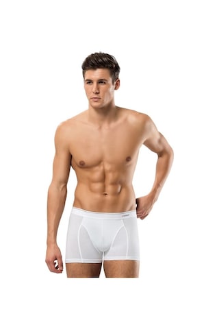 Erdem Erkek Boxer Pamuk Elastan 1445