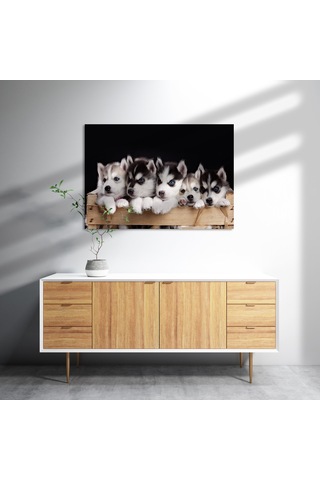 Cakasepetim Tahta Kasa İçinde Beş Husky Yavrusu Ahşap Mdf Tablo