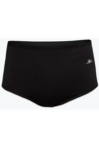 Papatya 1851 Kadın Yüksek Bel Modal Külot 6 Adet 001