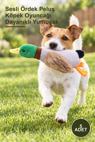 5 Adet Sesli Ördek Peluş Köpek Oyuncağı Dayanıklı Yumuşak