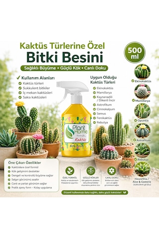 Kaktüs Ve Sukulent Bitki Besini Sprey Form Kolay Uygulama 500 Ml