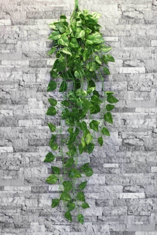 Yapay Çiçek Deposu Sarkan Yapay Sarmaşık 9 Dal Oval Model 90 Cm Yapay Çiçek Deposu Sarkan Yapay Sarmaşık 9 Dal Oval Model 90 Cm
