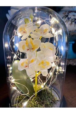 Faunus İçerisinde Işıklı Yapay Beyaz Orkide Anneler Günü Özel Hed