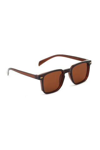 Carmelo Eyewear C01gk016 Kahverengi Kadın Güneş Gözlüğü