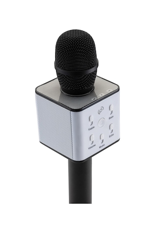 Polosmart Fs22 Siyah Karaoke Mikrofon Parti Topu