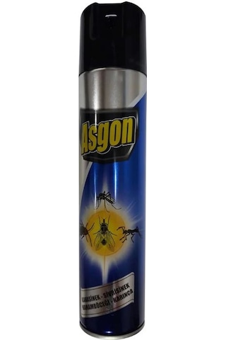 Asgon Haşere Öldürücü Sprey Aerosol 300 ML