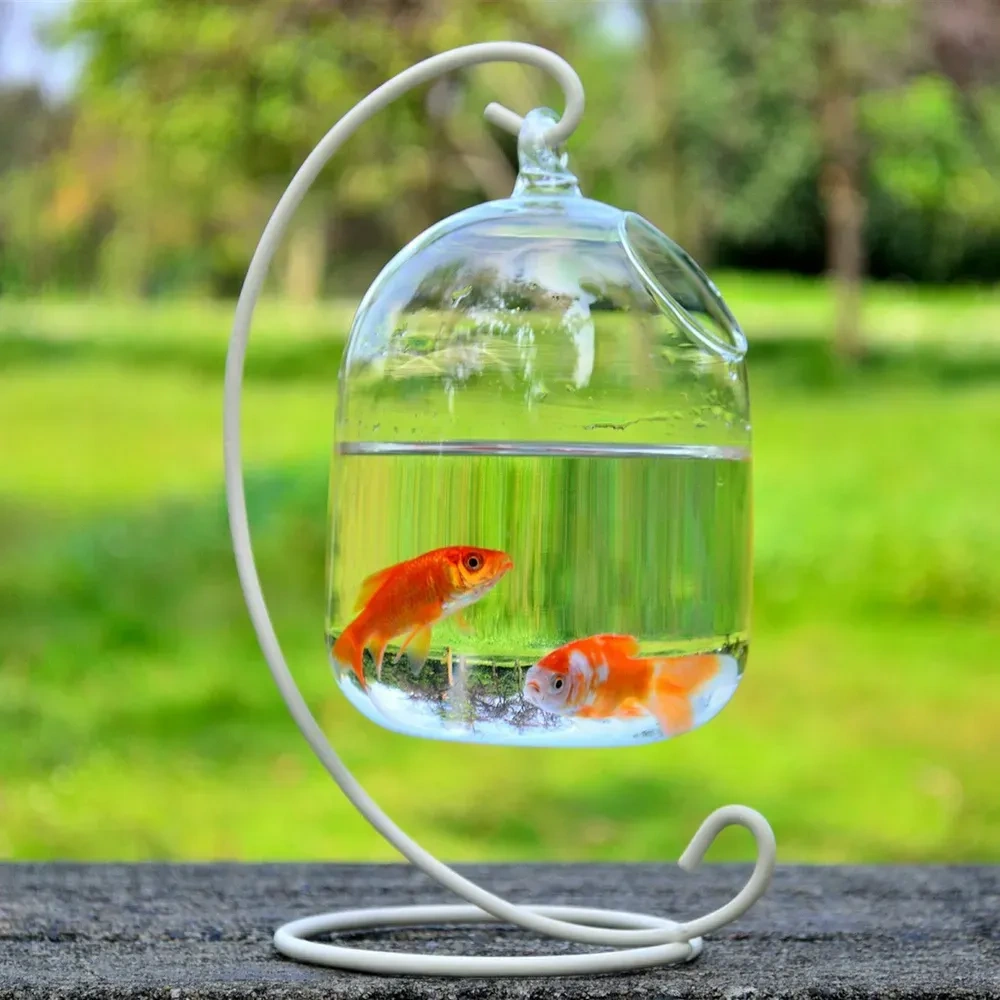 Yaleker El Yapan Cam Akvaryum, Transparan Borosilikat Cam, Beyaz Asma Tutucu İle, Ev Dekorasyonu, 15cm Yükseklik