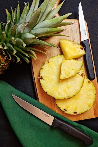 Stevig Cut 4 Fresh Sebze Soyacak Ve Bıçak Seti 4 Parça Siyah St-401 Siyah