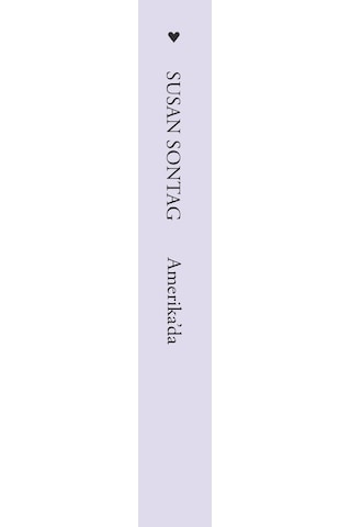 Amerika'da - Susan Sontag - Can Yayınları