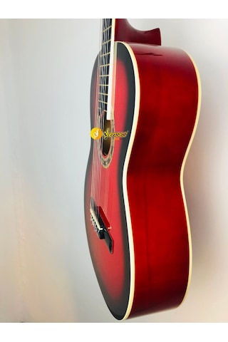 Carissa Cg-160 Tam Boy Sap Ayarlı Gitar