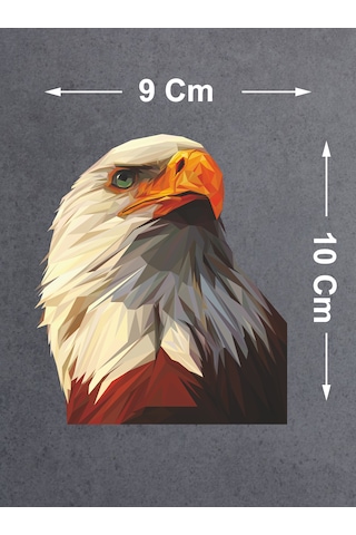 Kartal Beşiktaş Sticker - Araba Oto Motosiklet Karavan Sticker - 00280 10X9 Cm