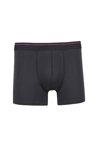 Nbb Erkek Modal Boxer 735