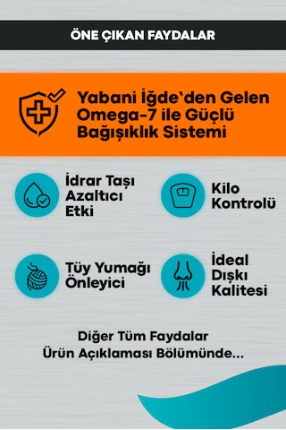 Peritas Signature Somonlu Kısırlaştırılmış Yetişkin Kedi Maması 10 KG