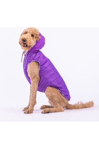 Pawstar Mor Railway Orta ve Büyük Irklar İçin Anorak Köpek Yeleği