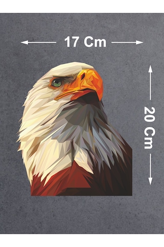 Kartal Eagle Karakartal Beşiktaş Sticker Araba Oto Motosiklet Karavan Sticker 00280 20x17 Cm