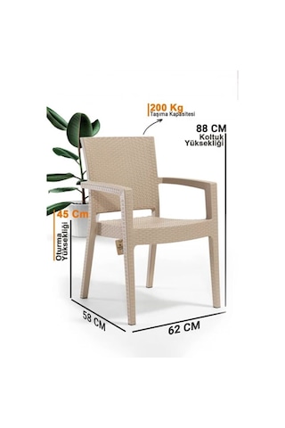 4'lü Set Rattan Victor Kollu Sandalye Koltuk Kapuçino Bej