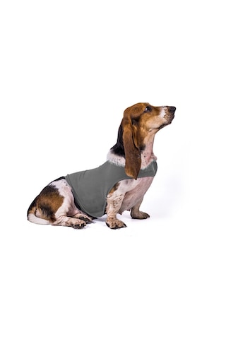 Vkemall Köpek Anksiyete Giderici Isı Verici Ceket, Mevsimler Arası Kumaş, Büyük Irklar İçin, Gri, S Boyutu 7-13 Kg