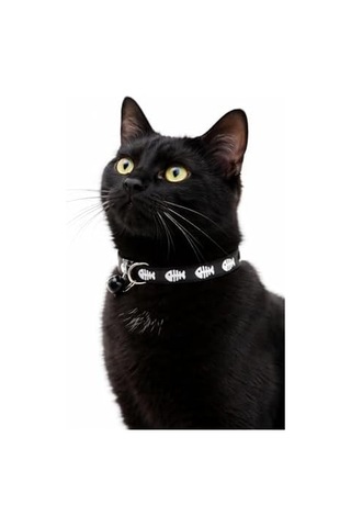 Kedi Boyun Tasması Zilli Ve Ayarlanabilir Siyah