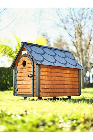 Mandu Ahşap Köpek Kulübesi