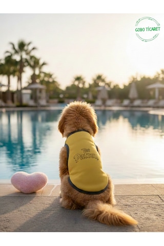 Sarı The Patron Yazılı Kedi Ve Köpek Kıyafeti Tişörtü Elbisesi Medium/m/beden 2