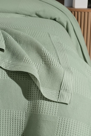 Mulberry Waflle Desenli Pike Waflle Battaniyesi %100 Pamuk Kalın İplik Yumuşak Tek Kişilik 170 x 240 Yeşil
