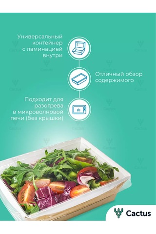 Cactus Tek Kullanımlık Trifle Kutuları, 800 Ml Gıda Kapları 224868223 100 adet