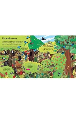 Look Inside The Jungle - Usborne