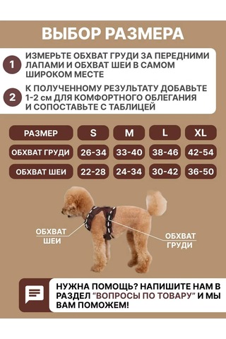 Tori Küçük Ve Orta Irklar İçin Tasmalı Köpek Kayışı Ve Kedi Şeridi 417829533