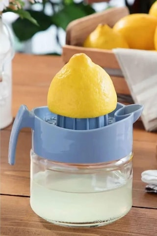 300ml Cam Hazneli Pratik Limon Narenciye Sıkacağı Kc-405 Açık Gri