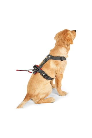 Interlaken H Koşum Takımı Ped Tipi Siyah Kırmızı Göğüs Tasması L Kırmızı - Siyah