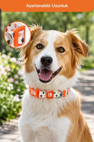 Köpekler İçin Dayanıklı Ve Güvenli, Desenli Boyun Tasması 25mm Pati