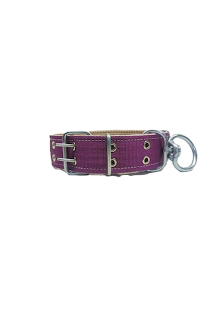 İri Ve Büyük Cinsler İçin Kanğal Köpek Tasması 80x5 Cm Mor