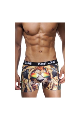 Darkzone Rastalı Aslan Desenli 3D Erkek Boxer - Dzn1081