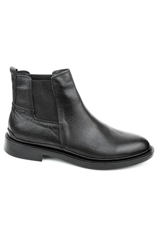 Dexter Dx396105-1 Renkli