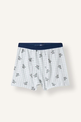 Defacto Dinozor Baskılı Penye 3lü Boxer Erkek Çocuk I4097a826auwt34 Beyaz-wt34