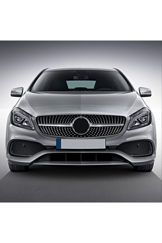 Mercedes W176 Diamond Panjur 2016+