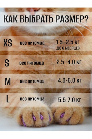 E.lekar' Kediler İçin Anti-tırmık Tırnak Kılıfları 40 Adet M 261040863