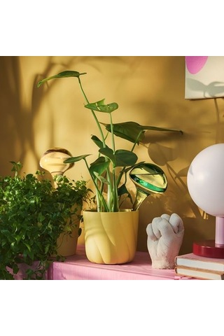 Ikea Doftrıps Sulama Düzeneği, Pembe-yeşil, 40 Cl